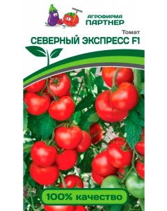 Семена томат Северный экспресс F1 1 уп Агрофирма партнер