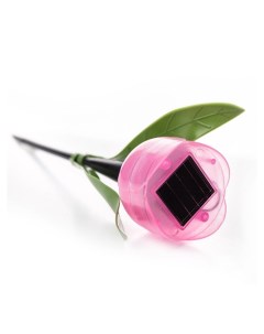 Садовый светильник Розовый тюльпан Usl c 451 pt305 1 шт Uniel