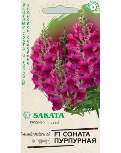 Семена антирринум Соната пурпурная F1 24486 1 уп Sakata