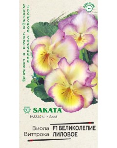 Семена анютины глазки Великолепие лиловое F1 виттрока 24518 1 уп Sakata