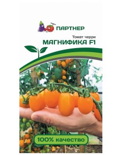Семена томат Черри Магнифика F1 13537 1 уп Агрофирма партнер