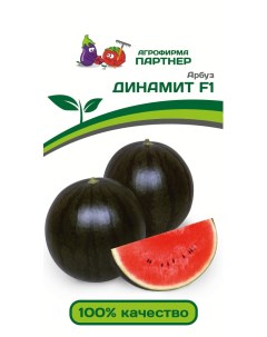 Семена арбуз Динамит F1 14253 1 уп Агрофирма партнер