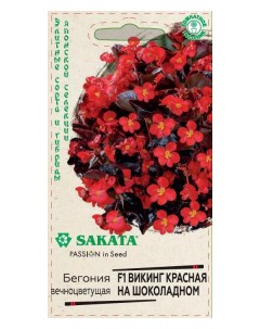 Семена бегония Викинг красная на шоколадном F1 24499 1 уп Sakata