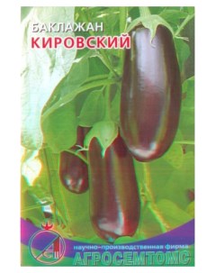 Семена баклажан Кировский 17439 1 уп Агросемтомс
