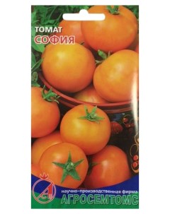Семена томат София 17418 1 уп Агросемтомс