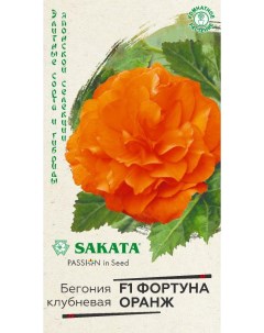 Семена бегония Фортуна оранж F1 24507 1 уп Sakata