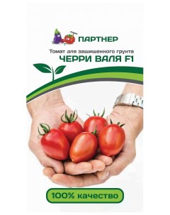 Семена томат Черри Валя F1 13530 1 уп Агрофирма партнер