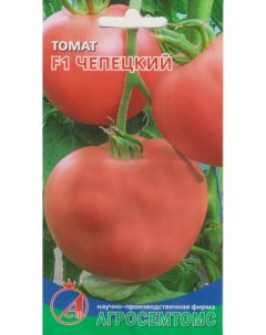 Семена томат Чепецкий F1 17437 1 уп Агросемтомс