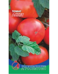 Семена томат Аскет 17415 1 уп Агросемтомс