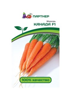 Семена морковь Канада F1 13549 1 уп Агрофирма партнер