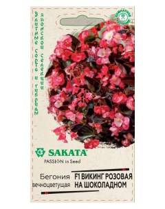 Семена бегония Викинг розовая на шоколадном F1 24501 1 уп Sakata