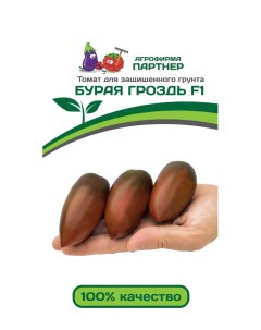 Семена томат Бурая Гроздь F1 13521 1 уп Агрофирма партнер