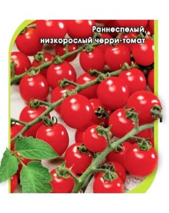 Семена томат Сомма F1 21006 1 уп Сортсемовощ