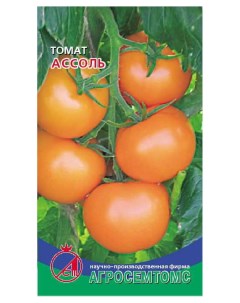 Семена томат Ассоль 17428 1 уп Агросемтомс