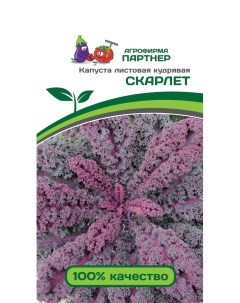 Семена капуста листовая Скарлет 13577 1 уп Агрофирма партнер
