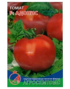 Семена томат F1 Адонис 17419 1 уп Агросемтомс