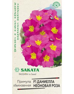 Семена примула Даниелла неоновая роза F1 24543 1 уп Sakata