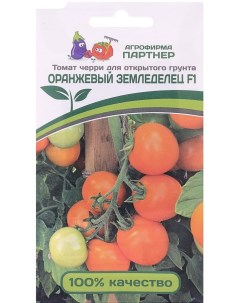 Семена томат Оранжевый земледелец F1 13592 1 уп Агрофирма партнер