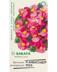 Семена бегония Амбассадор роуз F1 24494 1 уп Sakata