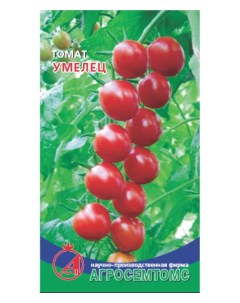 Семена томат Умелец 17435 1 уп Агросемтомс
