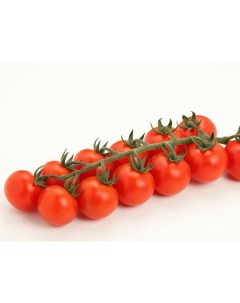Семена томат Требус элит F1 1 уп Планета садовод