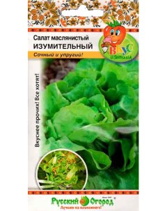 Семена салат Изумительный 307413 1 уп Семена нк