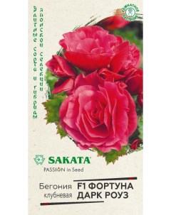 Семена бегония Фортуна дарк роуз F1 24506 1 уп Sakata