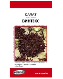 Семена салат Винтекс 20642 1 уп Сортсемовощ
