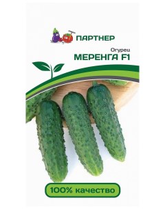 Семена огурец Меренга F1 13411 1 уп Агрофирма партнер