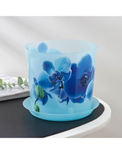 Цветочный горшок для орхидей c поддоном деко Р00002314 2 4 л голубой 1 шт Idea
