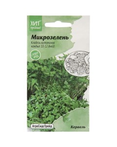 Микрозелень Кервель для проращивания АСТ семена для выращивания микрозелени Агросидстрейд