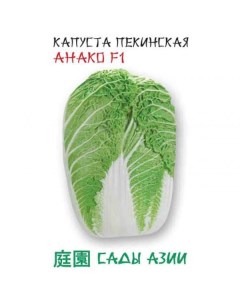 Семена капуста китайская Анако F1 22934 1 уп Сады азии