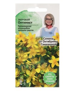 Зверобой Оптимист 0 1 г многолетние лечебные лекарственные травы для сада и балкона Агросидстрейд
