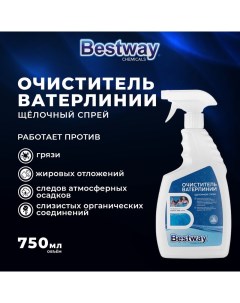 Средство Bestway Сhemicals для чистки ватерлинии в бассейне 750 г Bestway chemicals