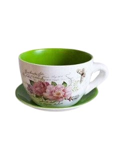 Цветочный горшок Чашка с блюдцем MC 1904031 4 2 2 л зеленый 1 шт Flatel