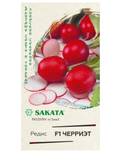 Семена редис Черриэт F1 16605 Sakata