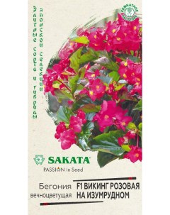 Семена бегония Викинг розовая на изумрудном F1 24500 1 уп Sakata