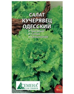 Семена салат Одесский кучерявец 1 уп Семена для сибири