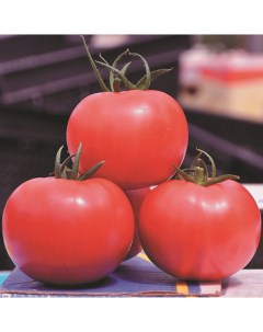 Семена томат Пинк клейр 1 уп Планета садовод