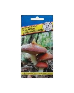 Мицелий грибов Маслёнок обыкновенный 50 мл Престиж