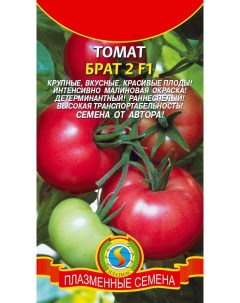 Семена томат Брат 2 F1 21228 1 уп Плазмас