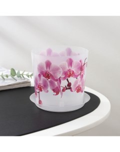 Цветочный горшок для орхидей c поддоном деко Р00002314 1 2 л разноцветный 1 шт Idea