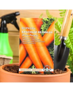 Семена морковь Красный великан Р00007774 1 уп Росток