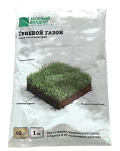 Семена Газон Зеленый квадрат Теневой 1 кг Зеленый ковер