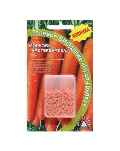 Семена морковь Амстердамска Р00007774 1 уп Росток