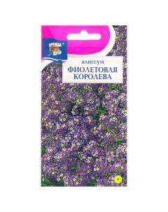 Семена алиссум Фиолетовая королева Р00019520 1 уп Урожай удачи