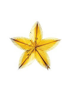 Подвесное украшение Звезда из фольги полярная H241001G 60 см золотистый Holiday classics