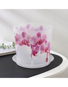 Цветочный горшок для орхидей c поддоном деко Р00002314 2 4 л разноцветный 1 шт Idea