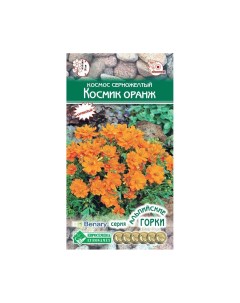 Семена космея Космик оранж 17816 1 уп Евросемена