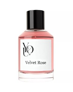Velvet Rose You